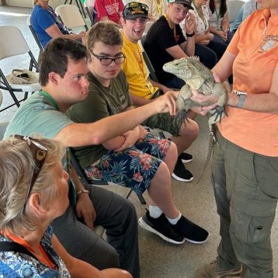 Oh the Reptiles!